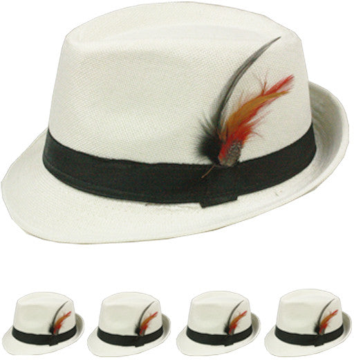white-fedora-hat-with-feather