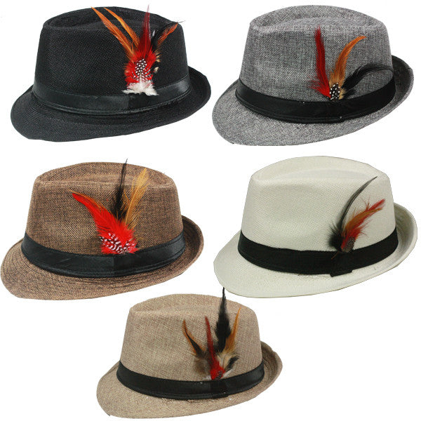 fedora-hat-with-feather