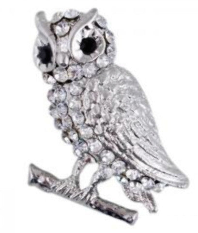 clear-crystal-owl-pin